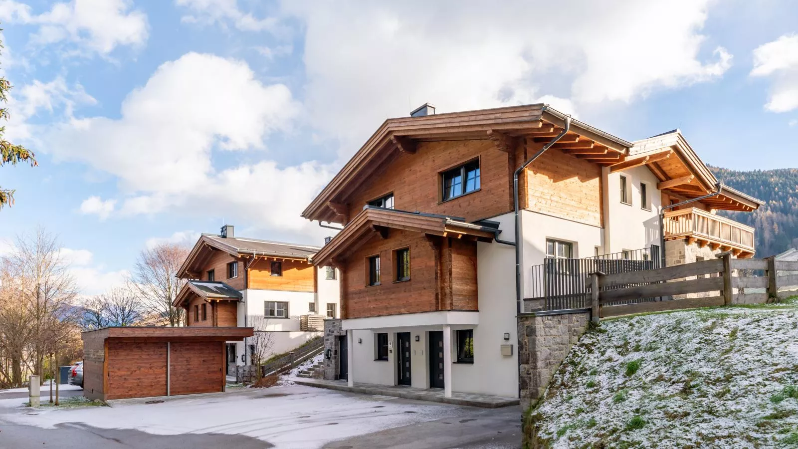 Chalet Schneelöwe XL-Exterior winter
