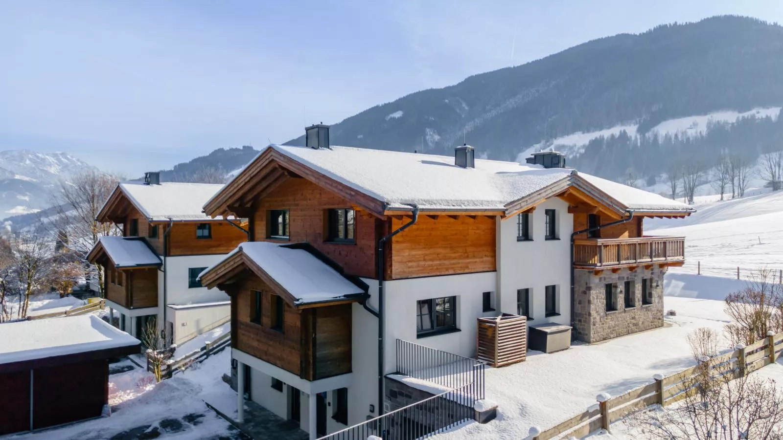 Chalet Schneelöwe XL-Exterior winter