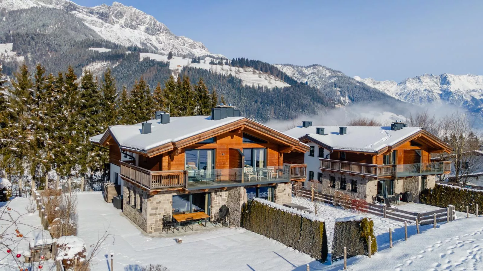 Chalet Schneelöwe XL-Exterior winter