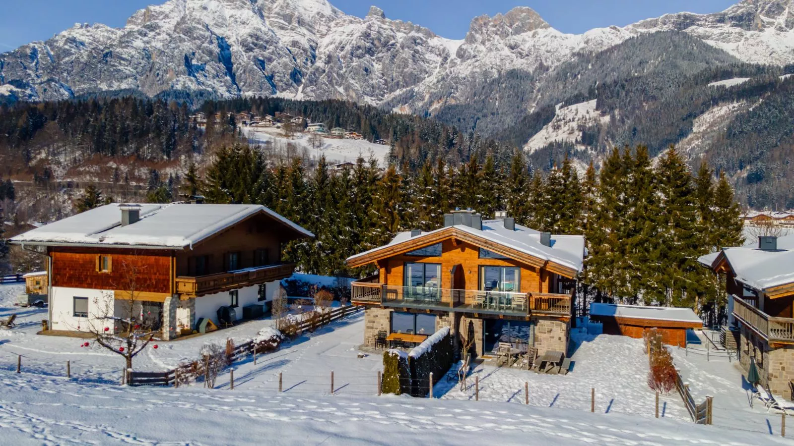 Chalet Schneelöwe XL-Exterior winter