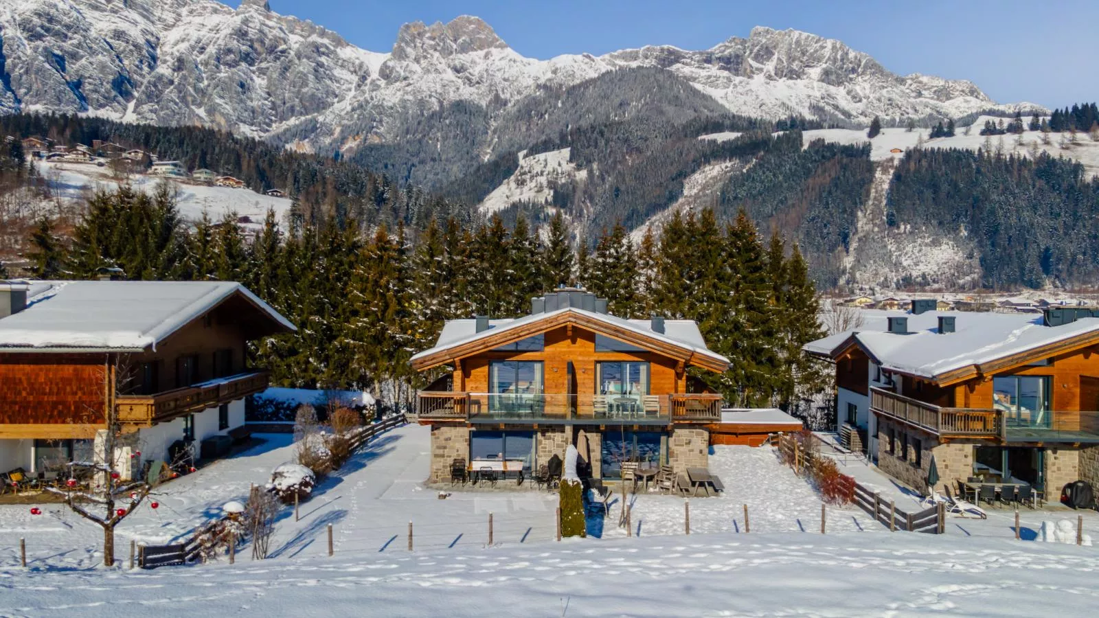 Chalet Schneelöwe L-Exterior winter