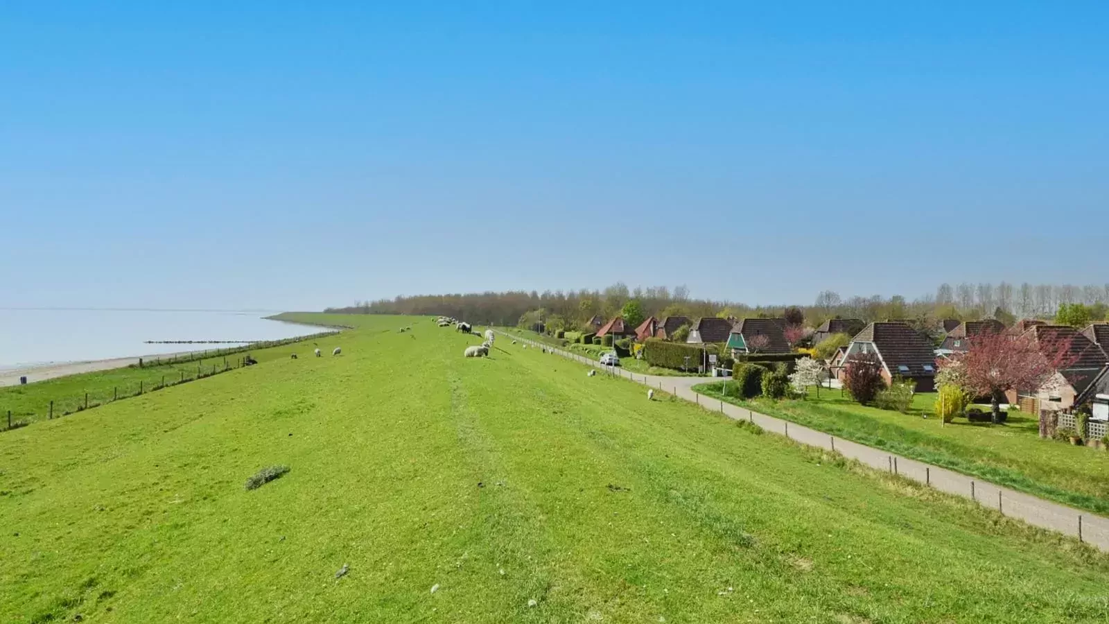 De Zeediek-Gebiete Sommer 1 km