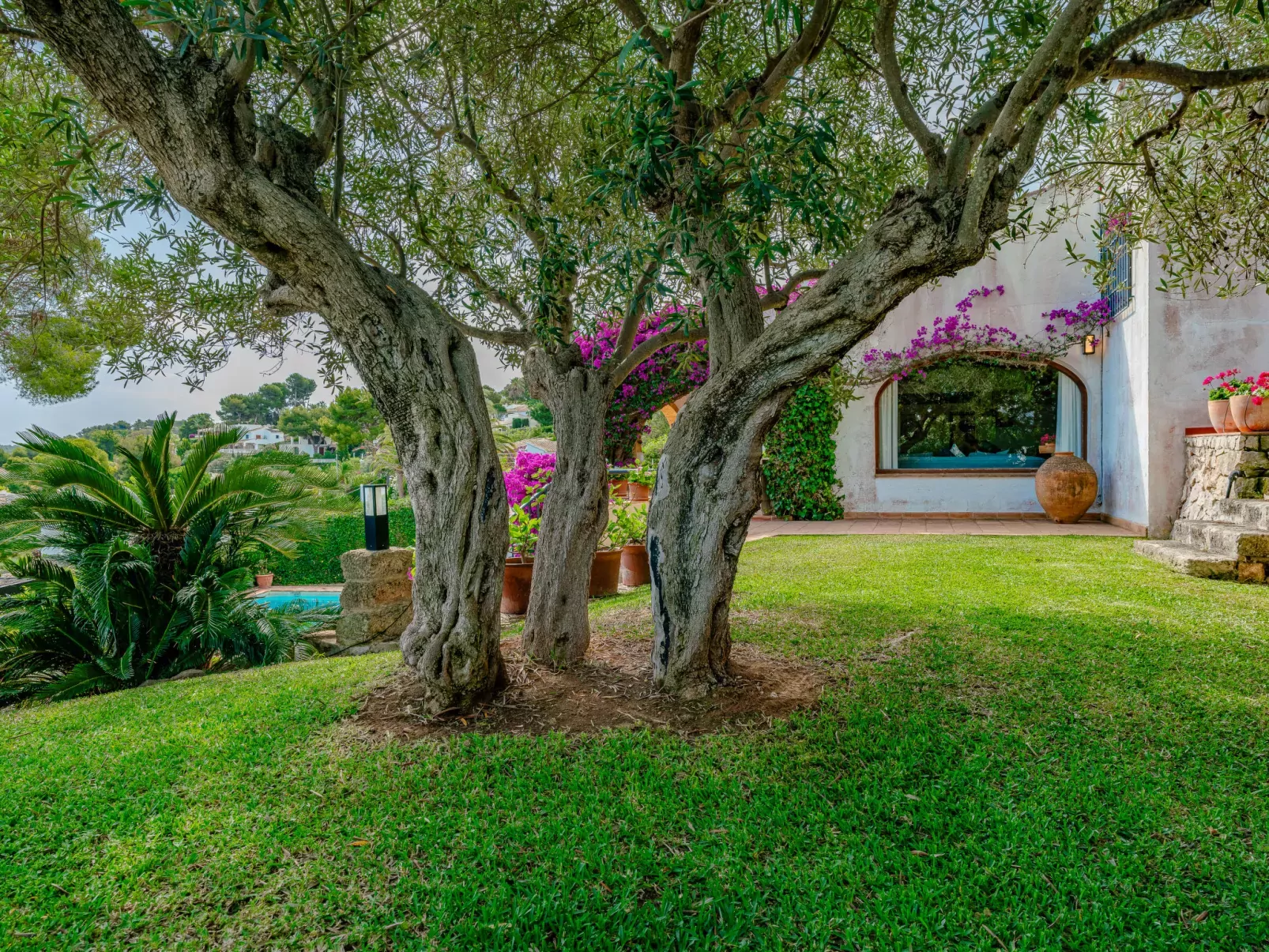 Villa Pomelo Plus-Outside