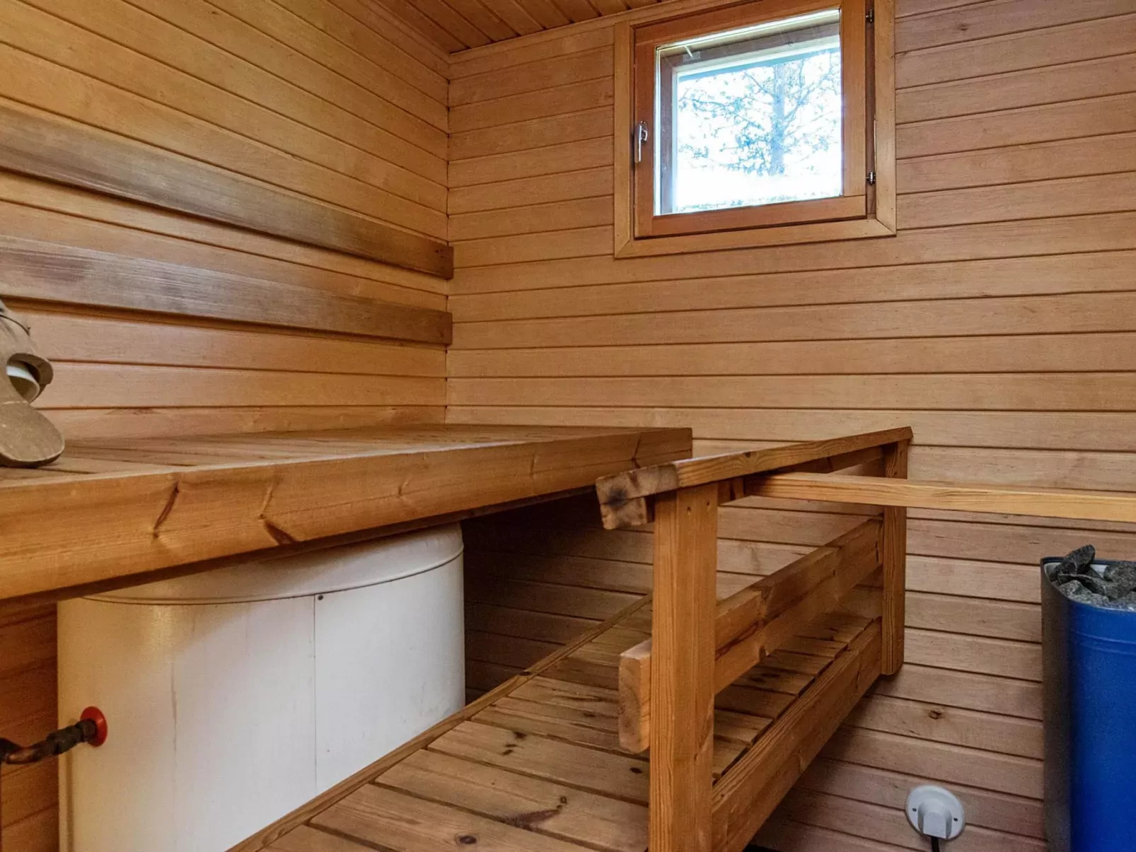 Tunturikoivu a1-Inside