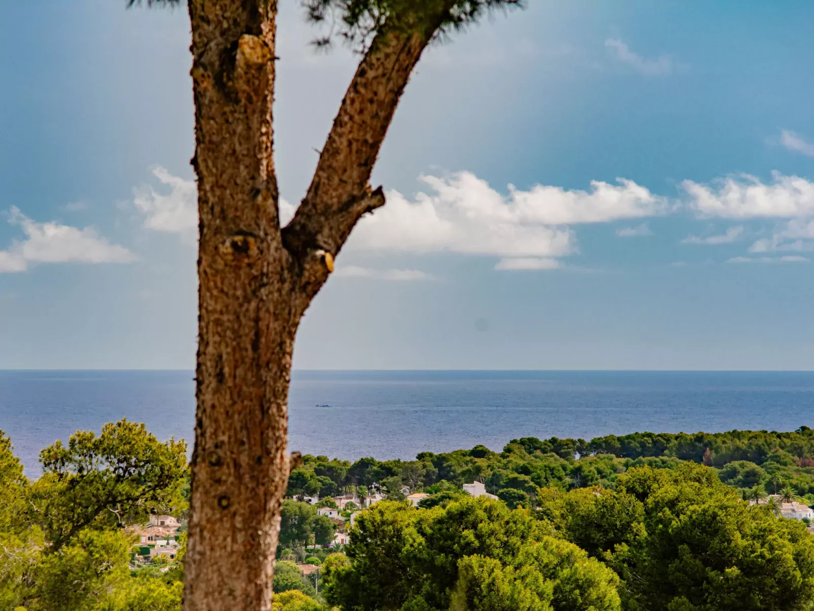 Villa Pomelo Plus-Outside