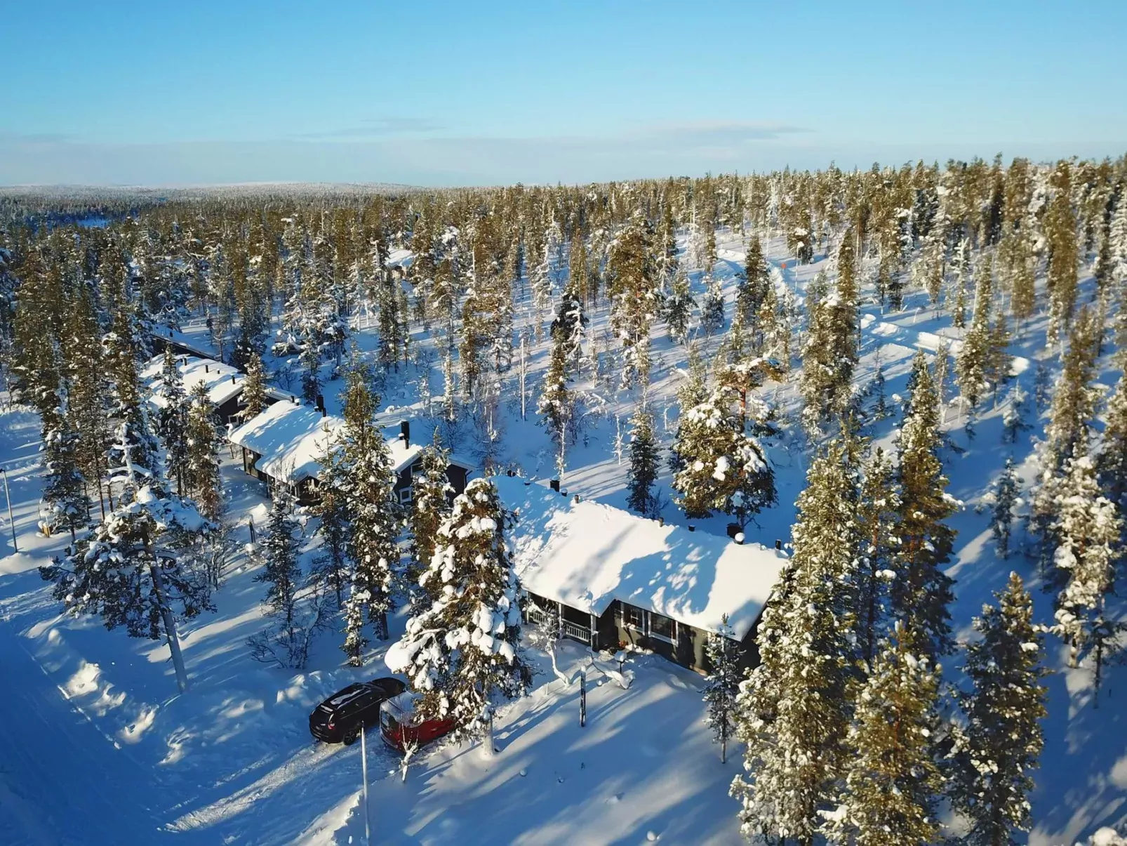 Tunturikoivu a1-Outside