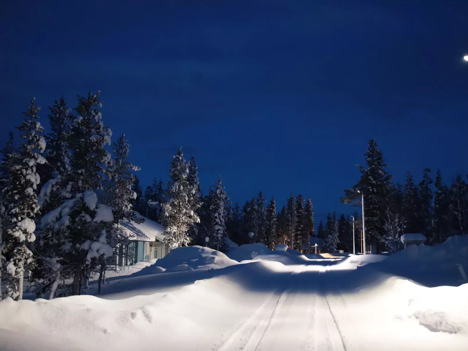 Tunturikoivu a1-Outside