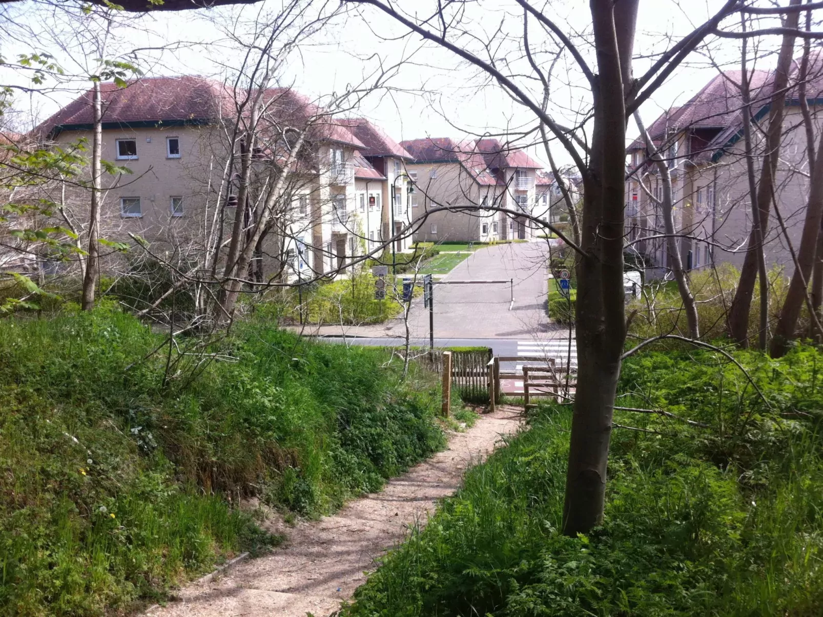Green Garden-Outside