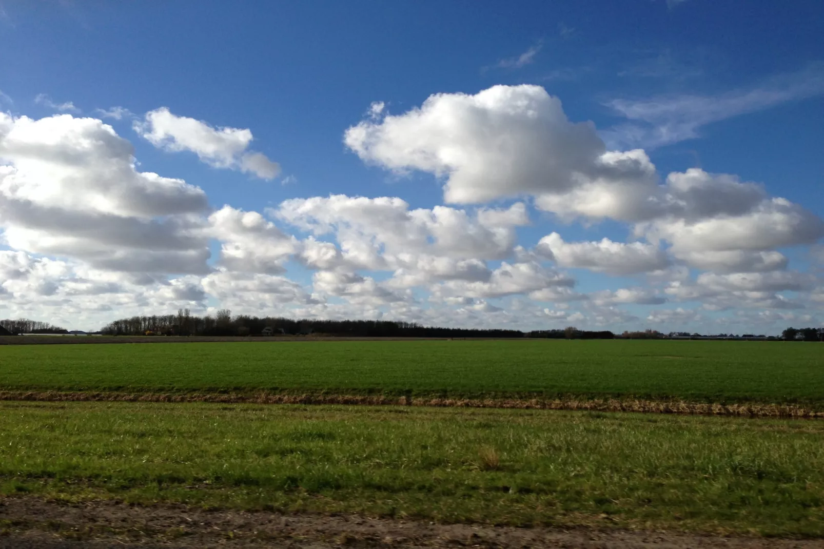 VT 151-Areas summer 1km