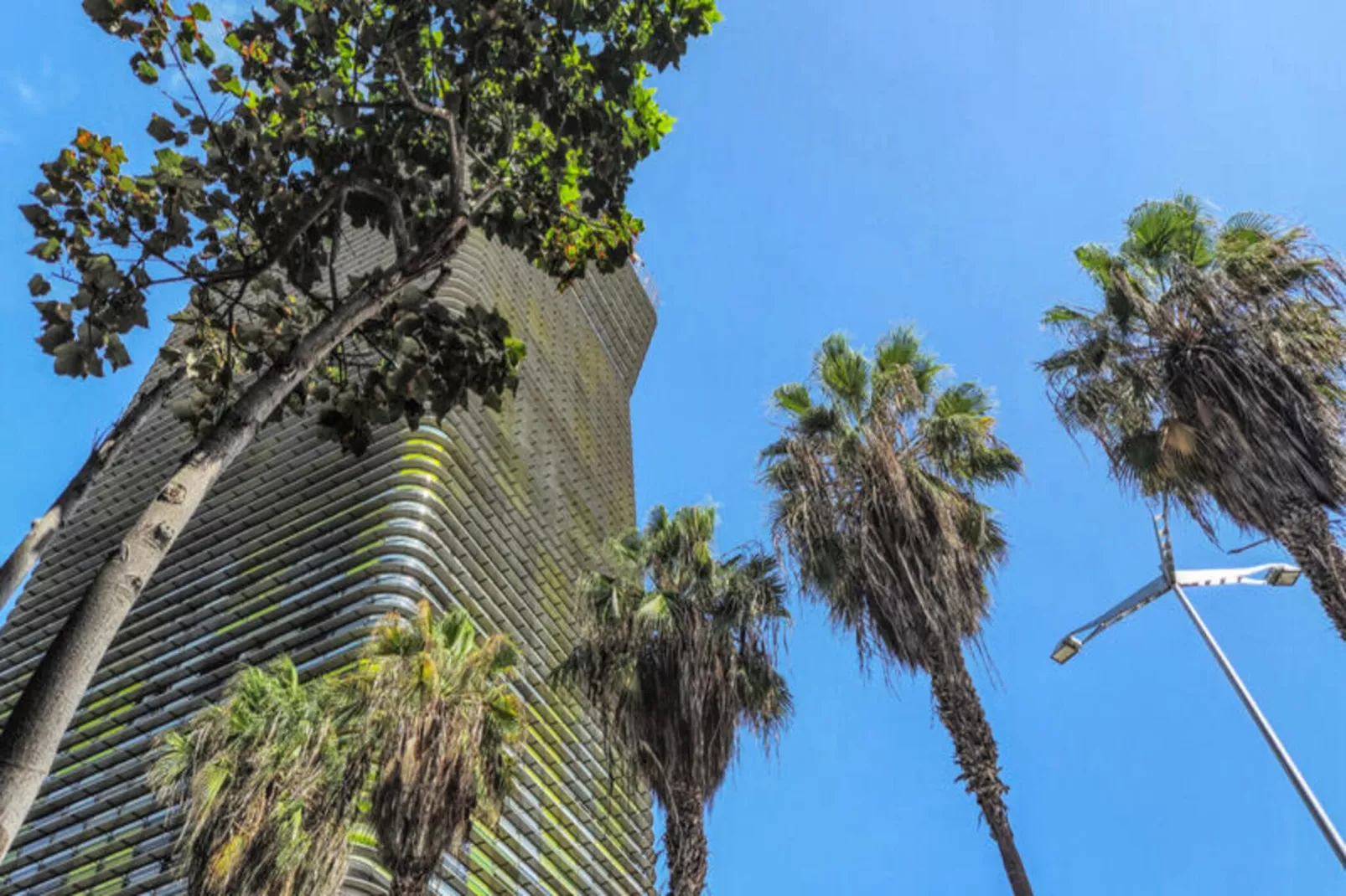 Appartements à Las Palmas de Gran Canaria-Extérieur été