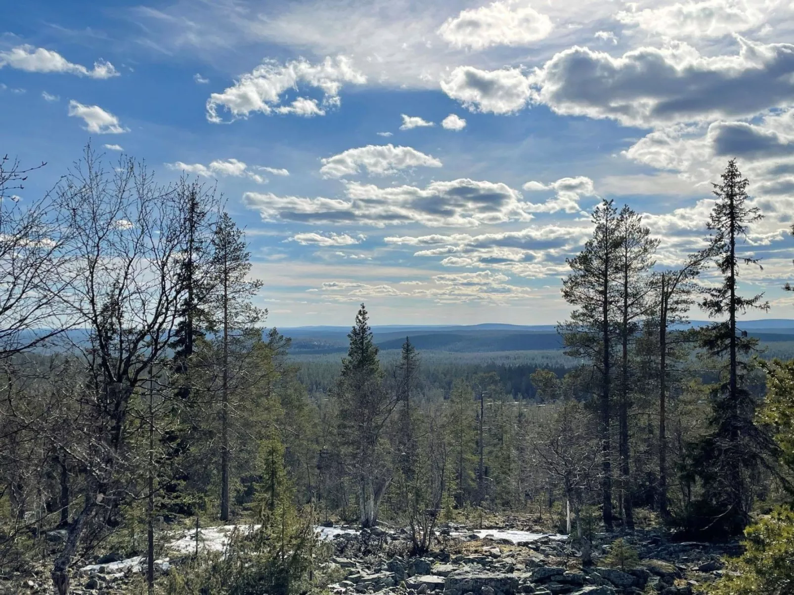 Ylläsriekko / itätupa-Outside