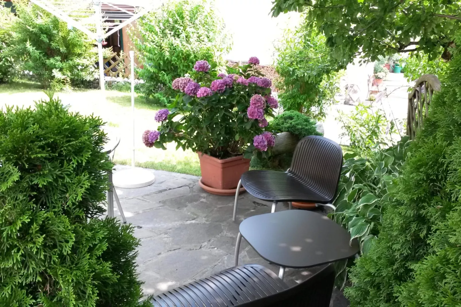 Ferienhaus Büsch-Gardens summer