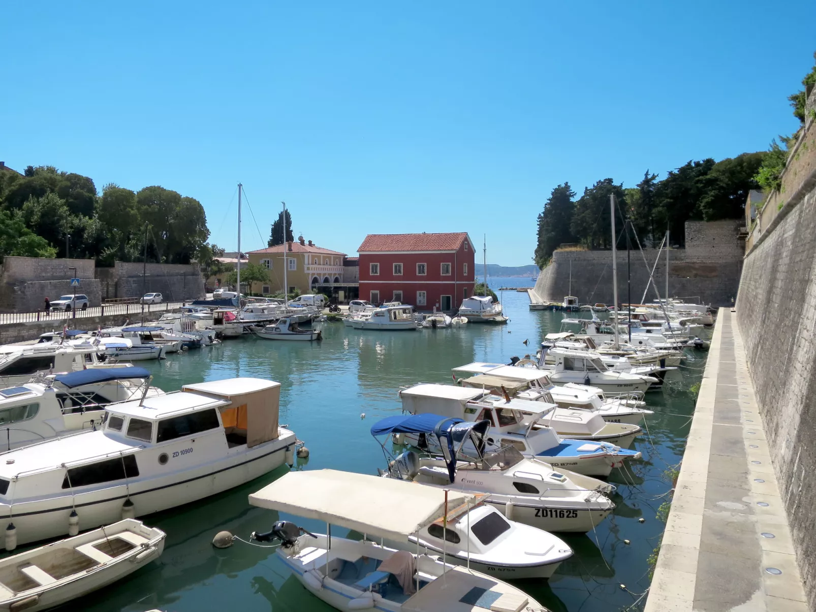 Lisa-Area