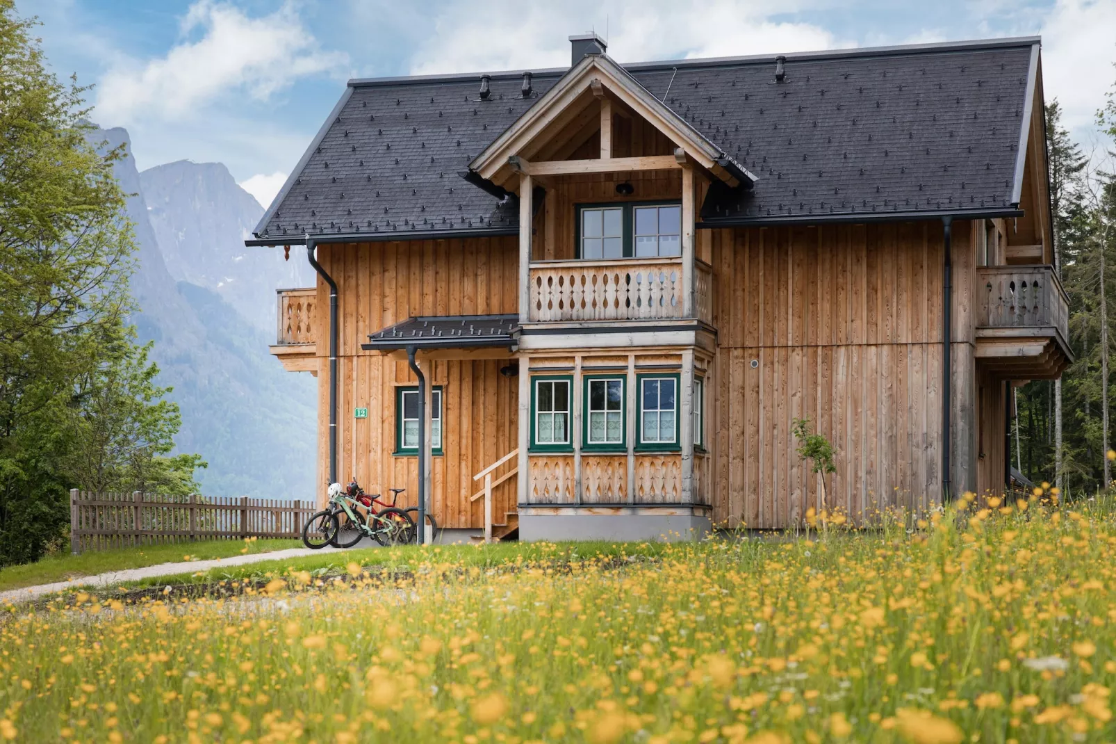 Haus Traun 2 - 10402629