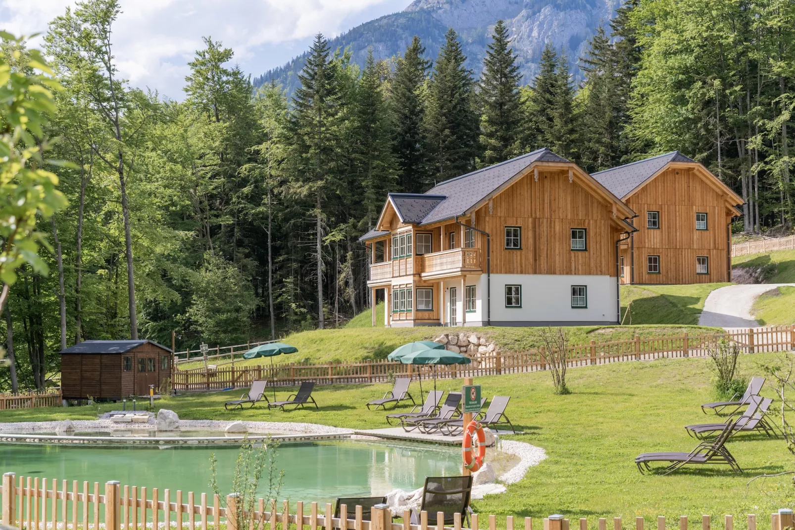 Haus Traun 2-Pool