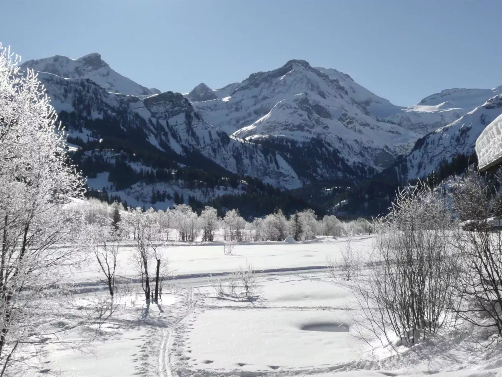 Am Schilf-Dehors