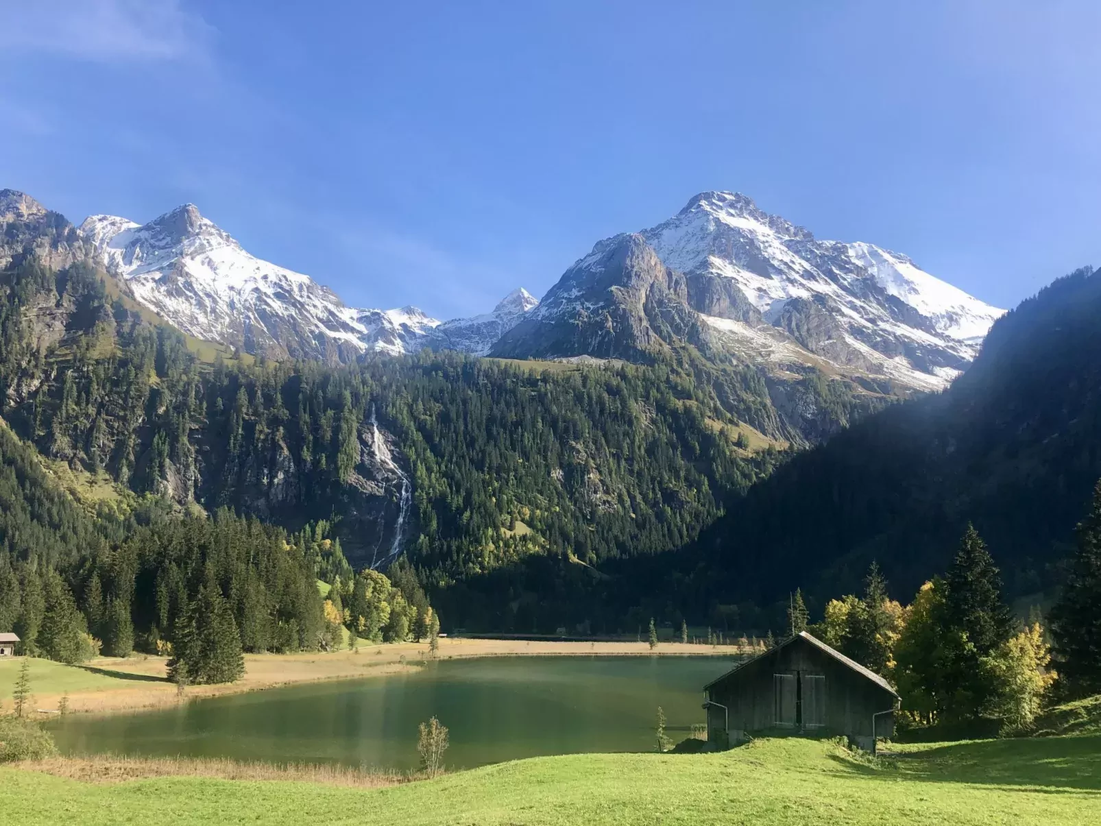 Am Schilf-Dehors