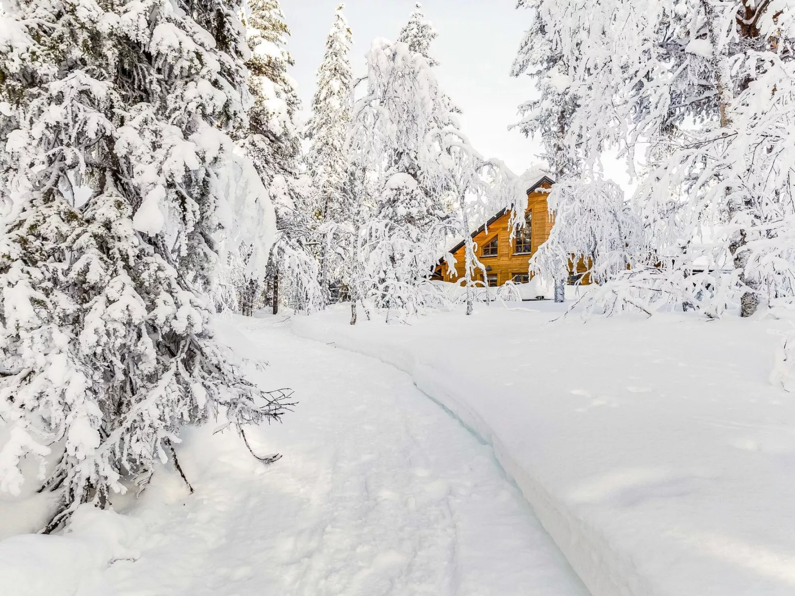 Lappi dream house-Outside