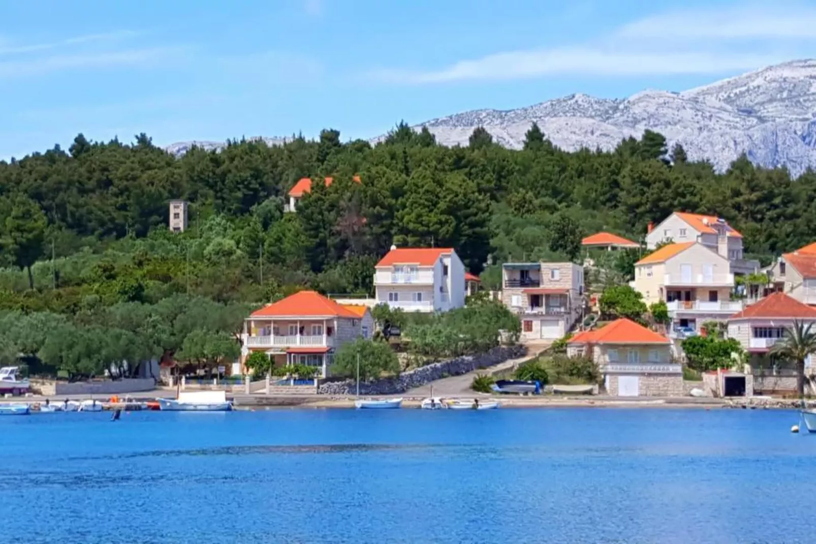Apartments Radojković Lumbarda -One Bedroom Apartment with Terrace and Partial Sea View(A1)-Areas summer 1km