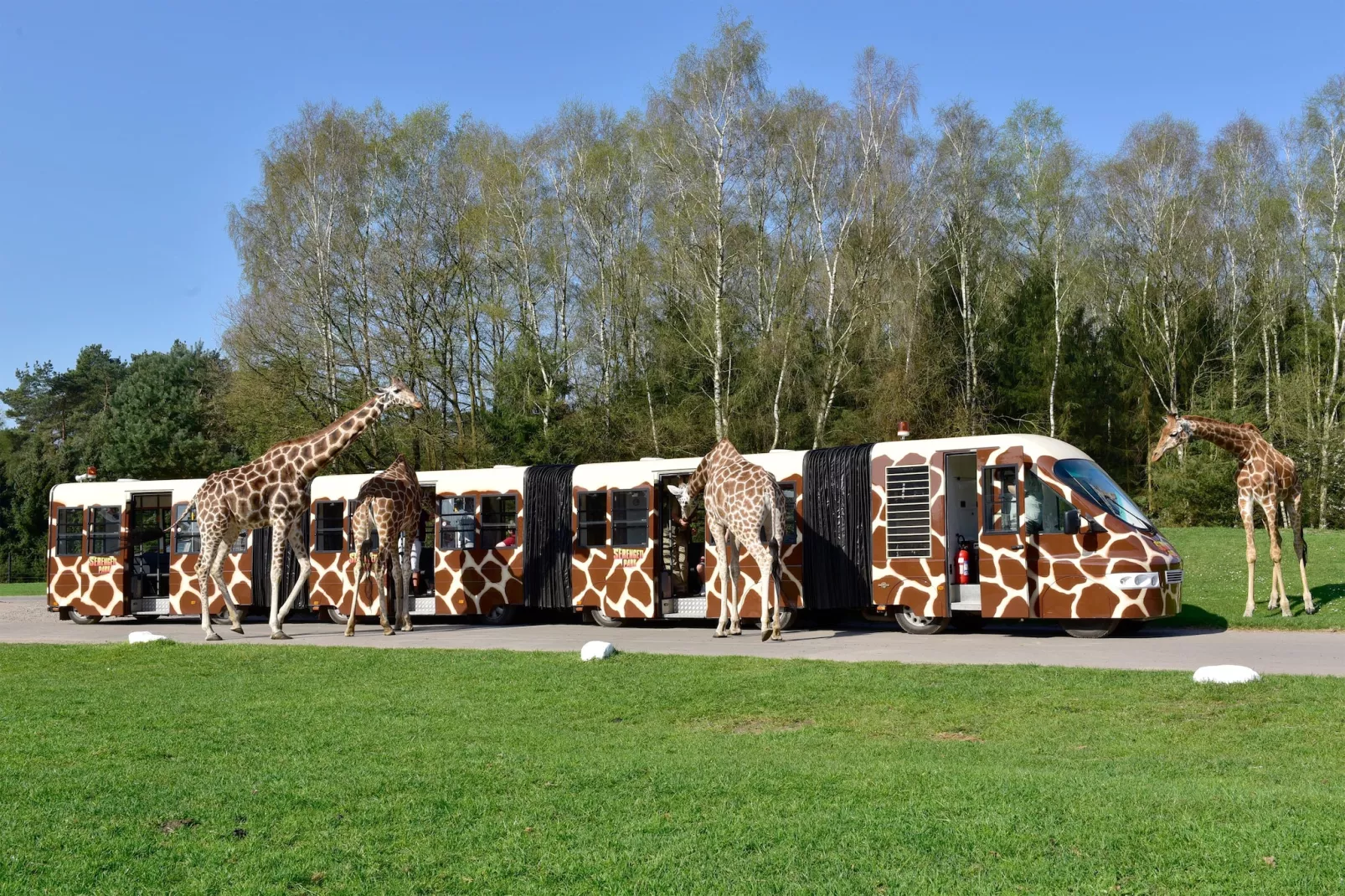 Tongasoa-Lodges 6 Personen-Park facilities