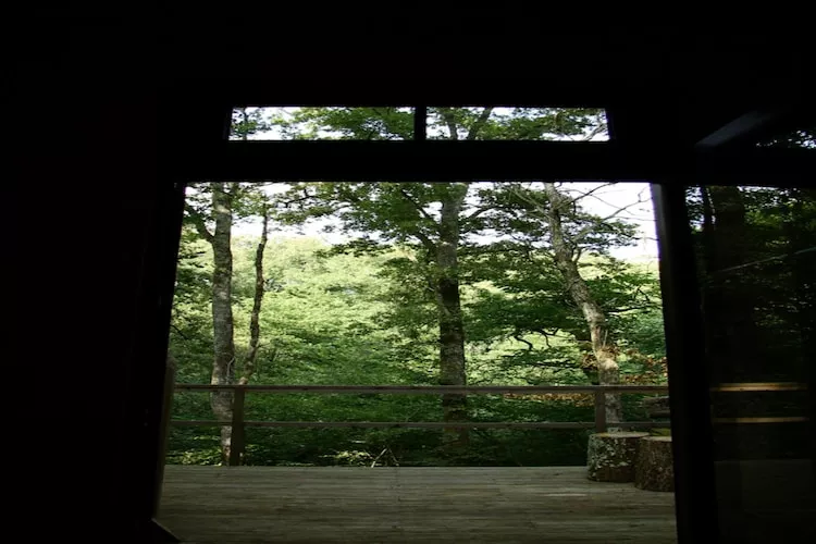 Ecolodge en Sequoia-Terrace balcony