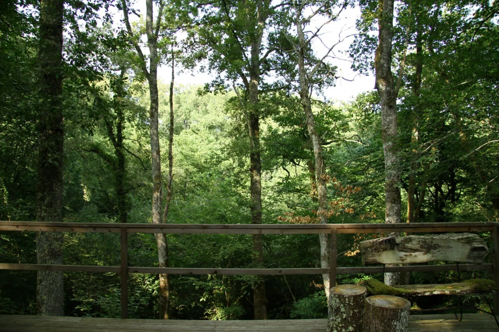 Ecolodge en Sequoia-View summer