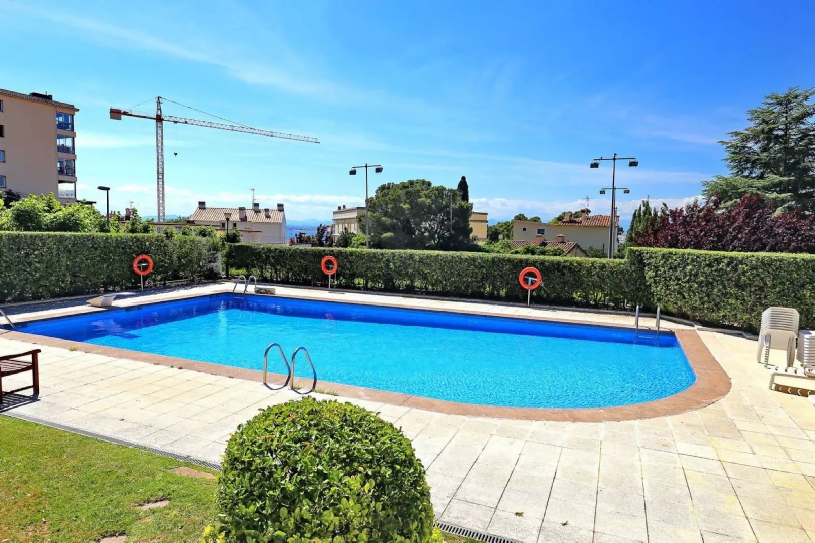 CAN PARAMON D 2 2 Roses-Pool