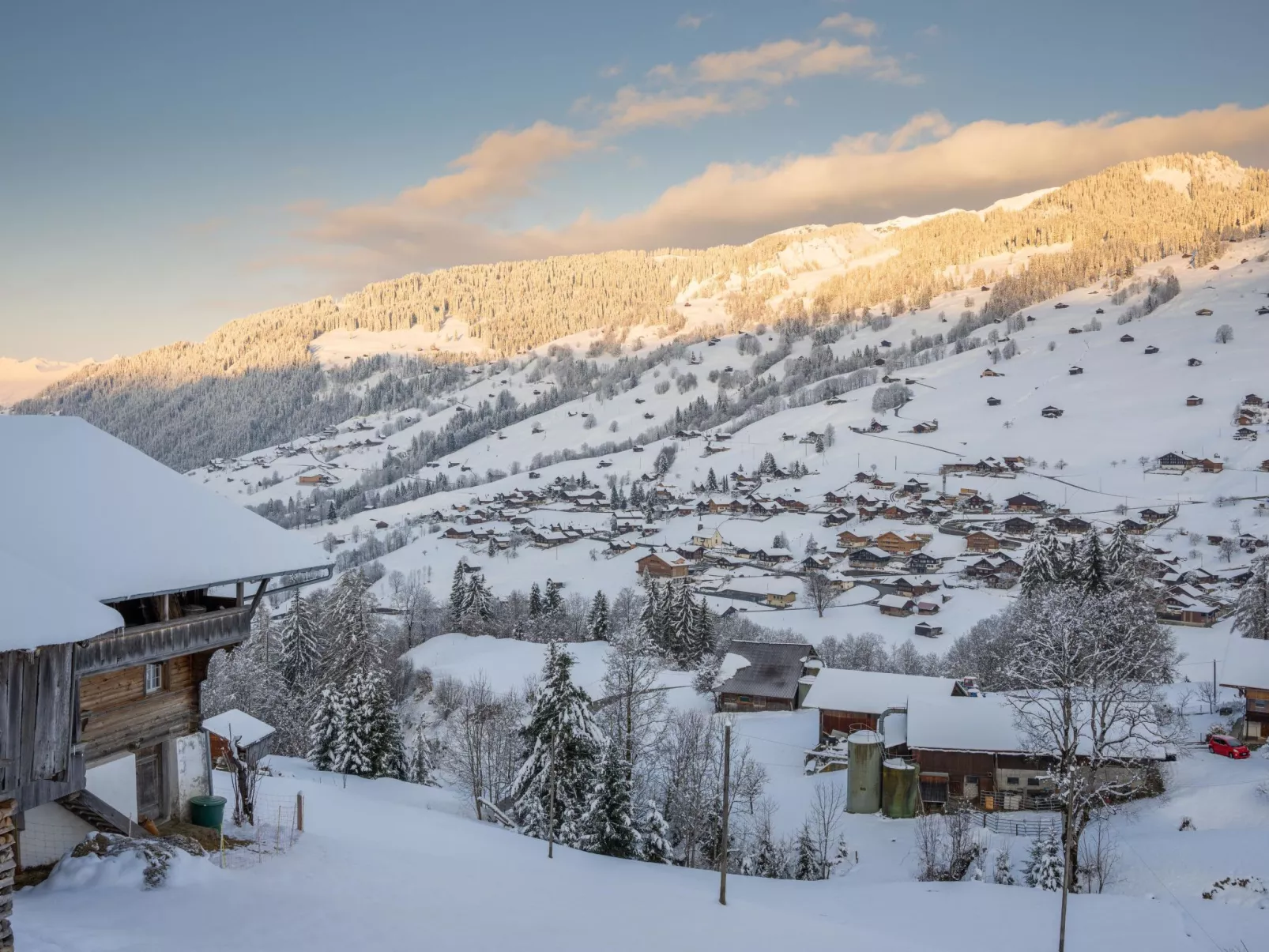 Serviced Apartment Chalet Bärgblüml i Ha - 10340397