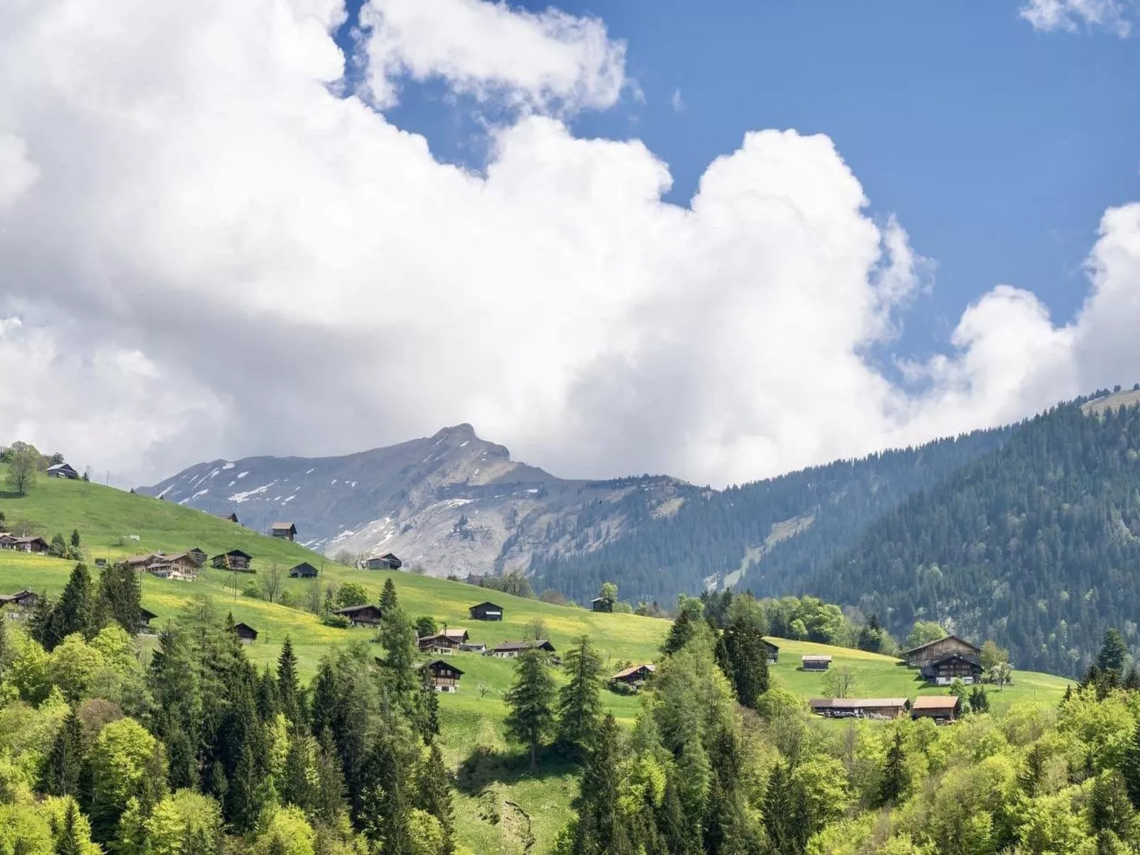 Serviced Apartment Chalet Bärgblüml i Ha - 10340401
