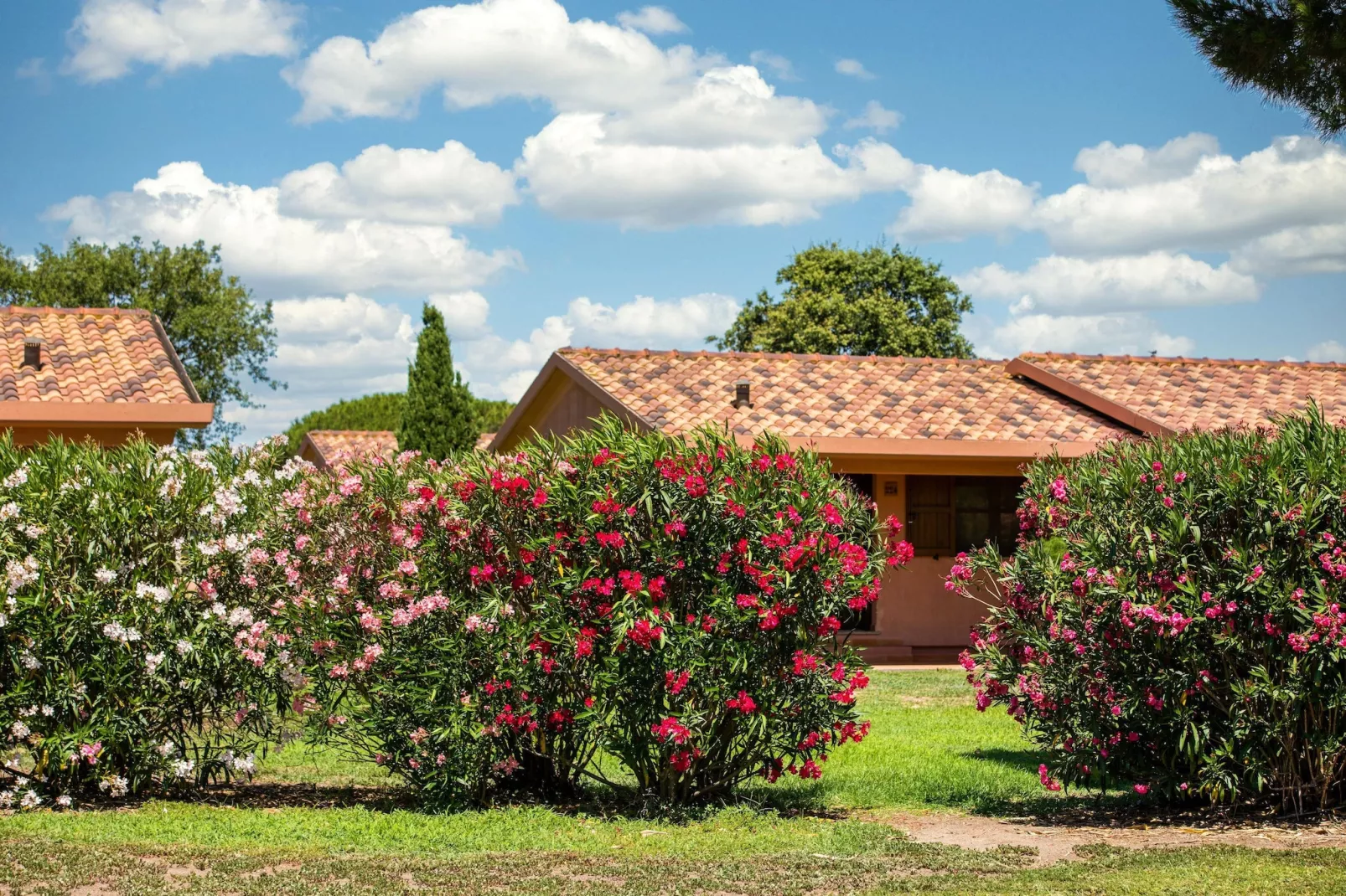 Gitavillage California 4-Zi-Lodge Premium Veranda 32 qm