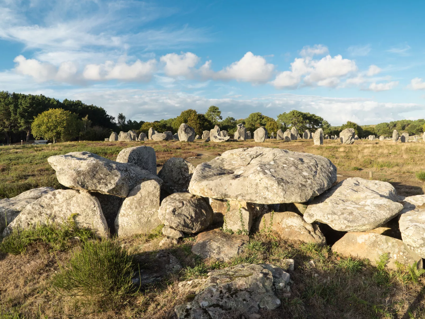 Le Spi-Environnement