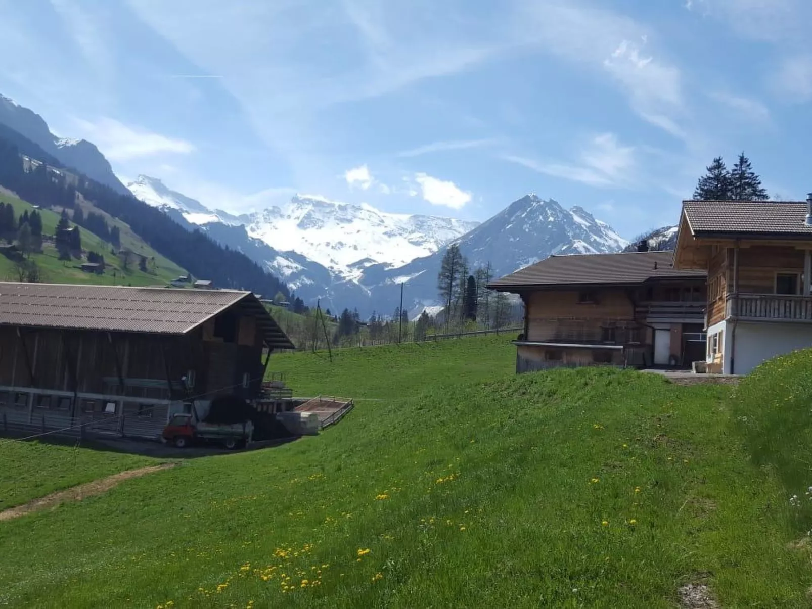 Chalet Wäschhüsi - 10340661