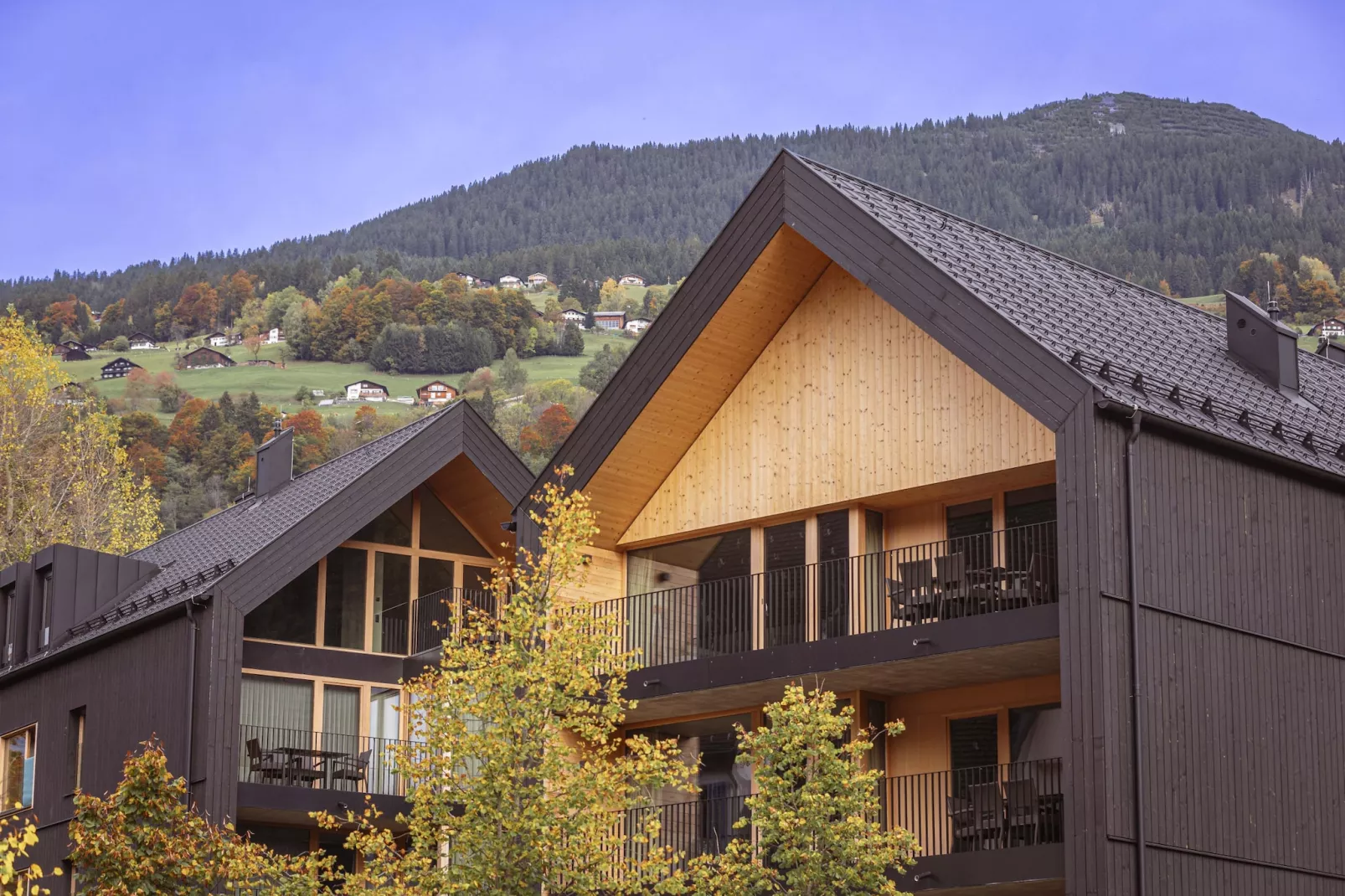 Montafon Suites Schruns 01-Exterior summer