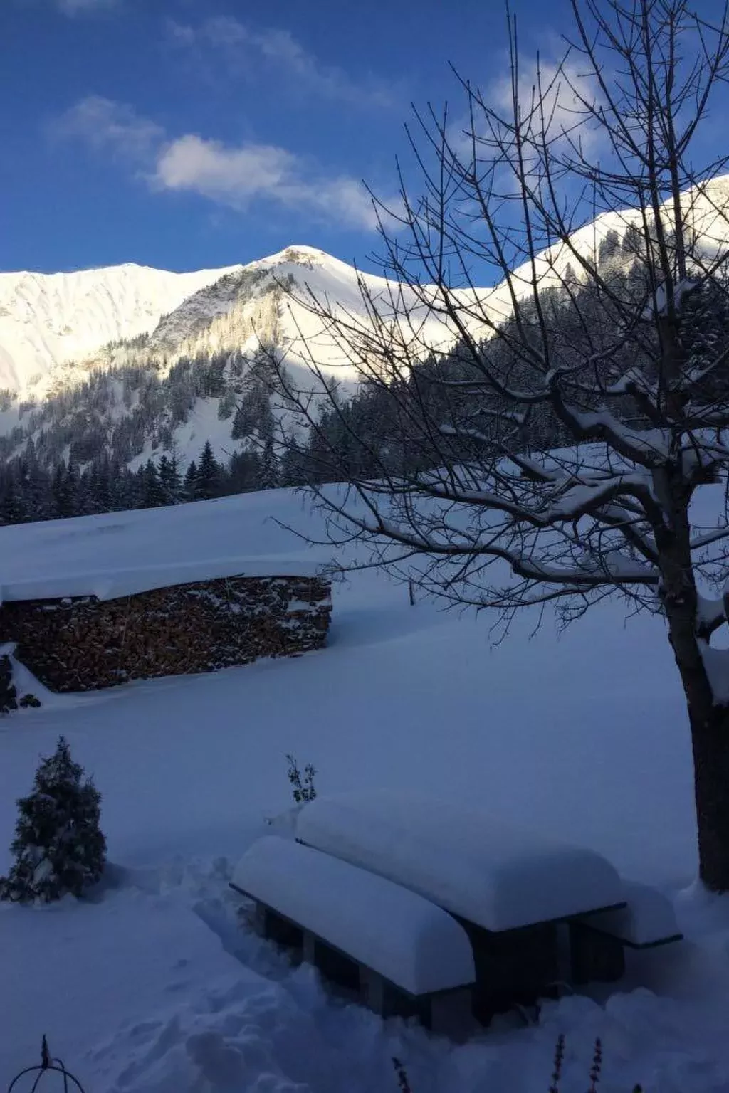 Abelied-Dehors