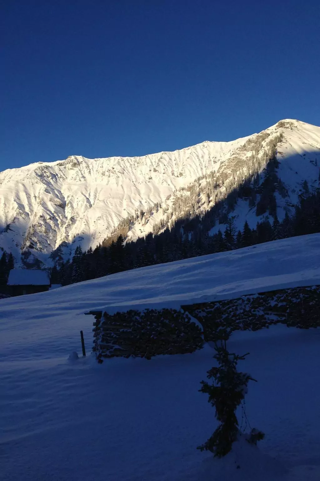 Abelied-Dehors