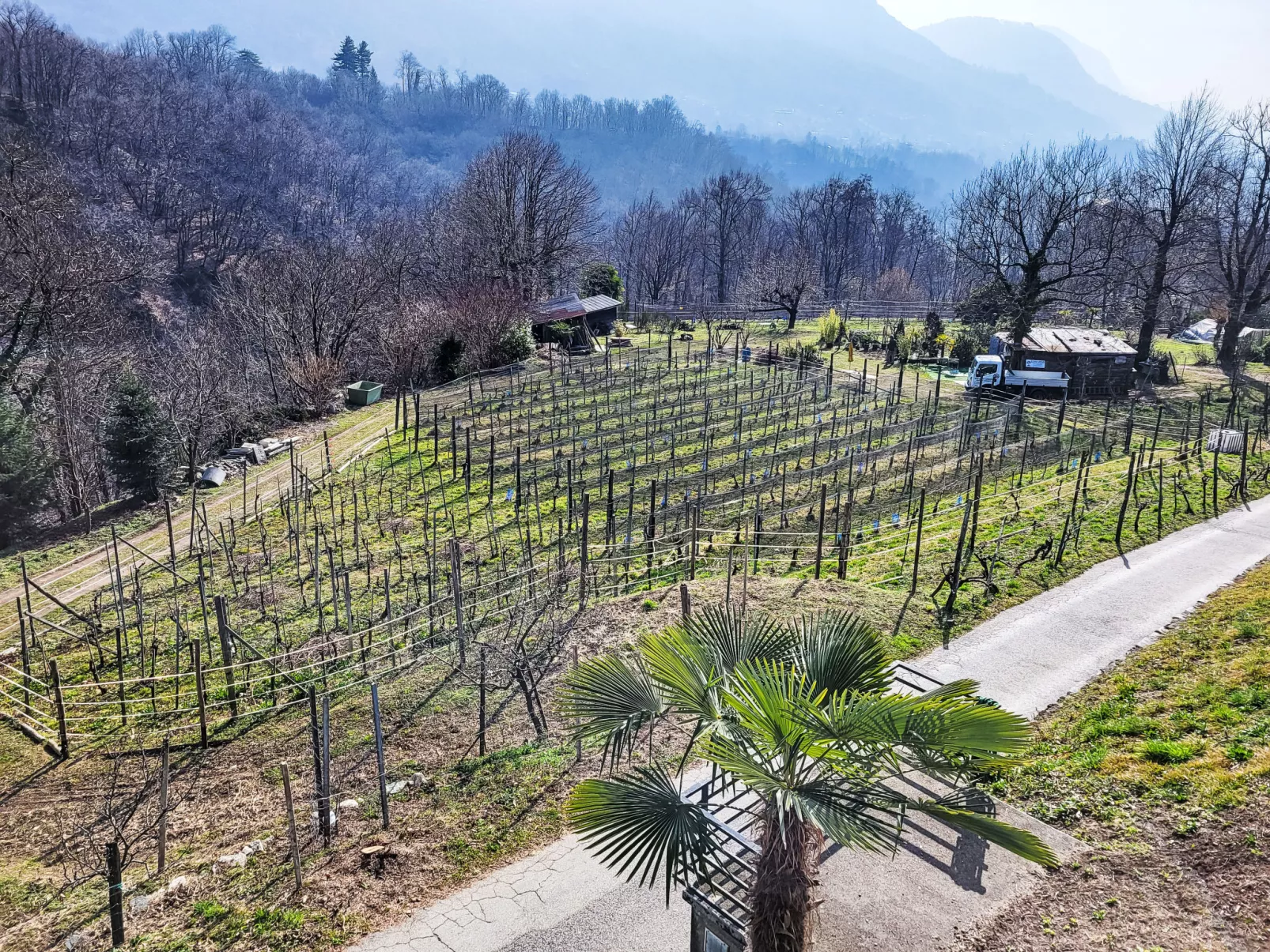 Villaggio Sureggio - App.C10A-Dehors