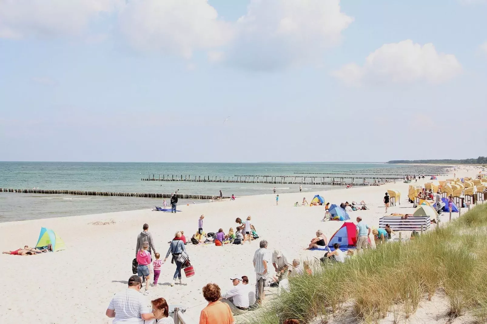 Ferienhaus in Boiensdorf 6 Personen-Gebiete Sommer 1 km
