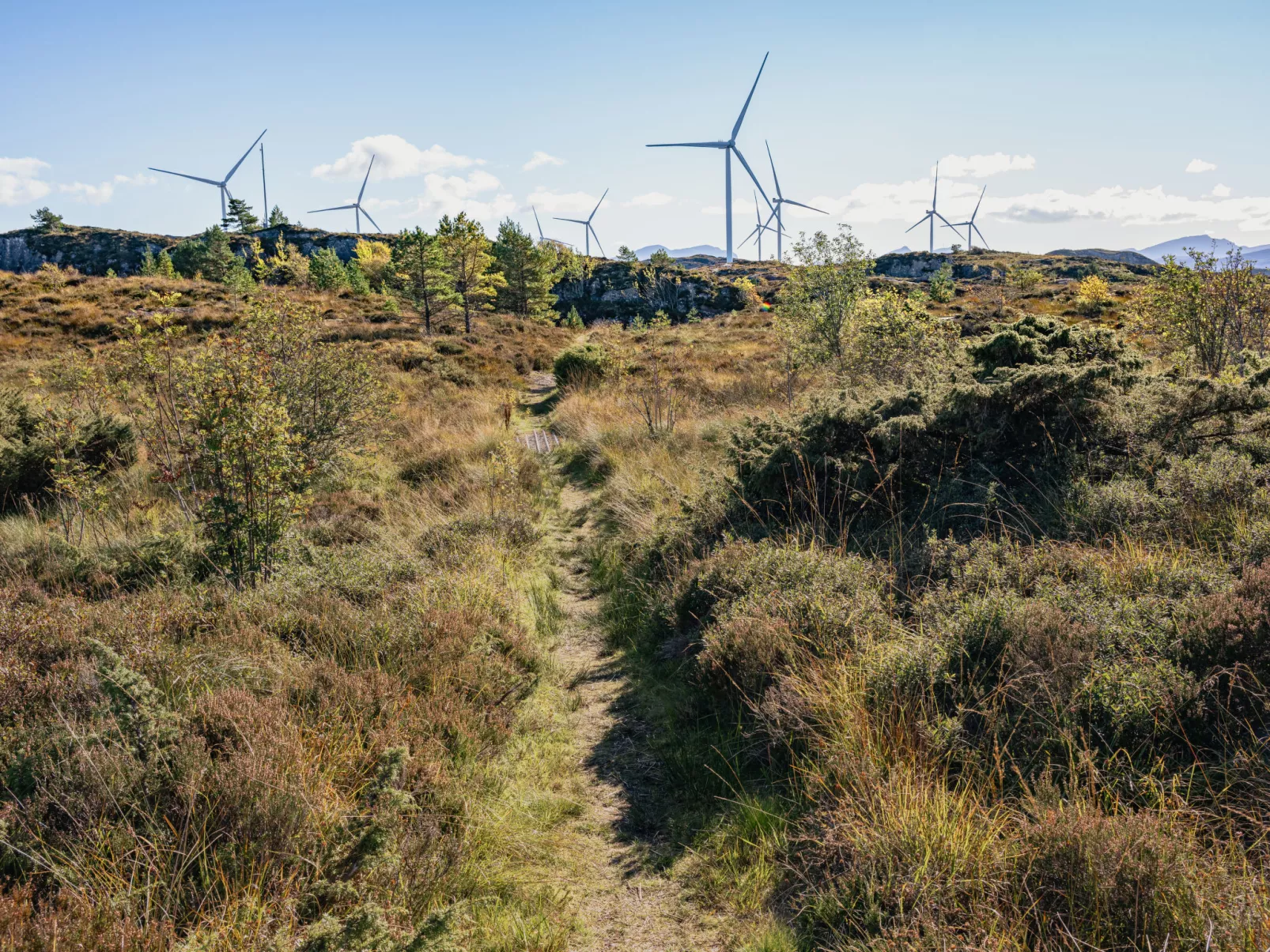 Sjøbuvågen-Outside