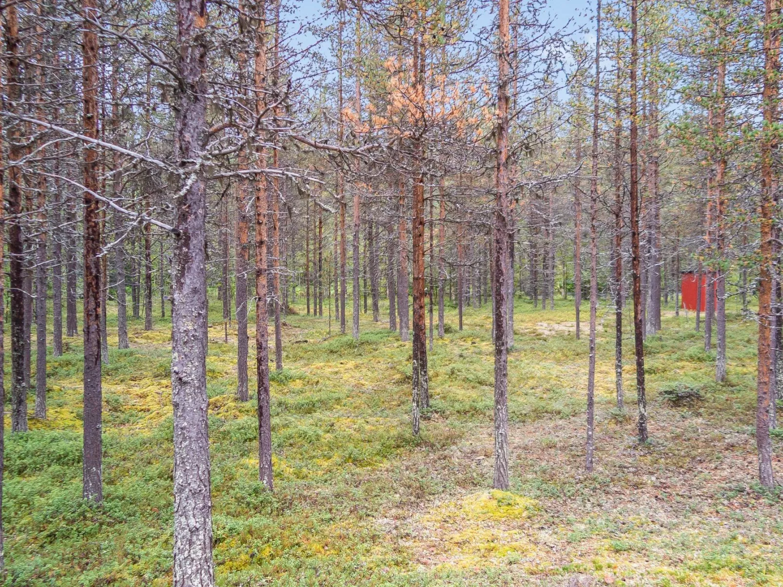 Elnan tupa-Outside