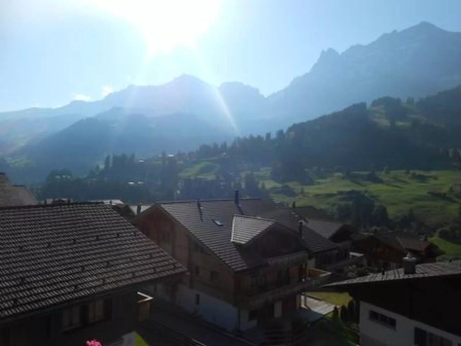 Hari-Draußen