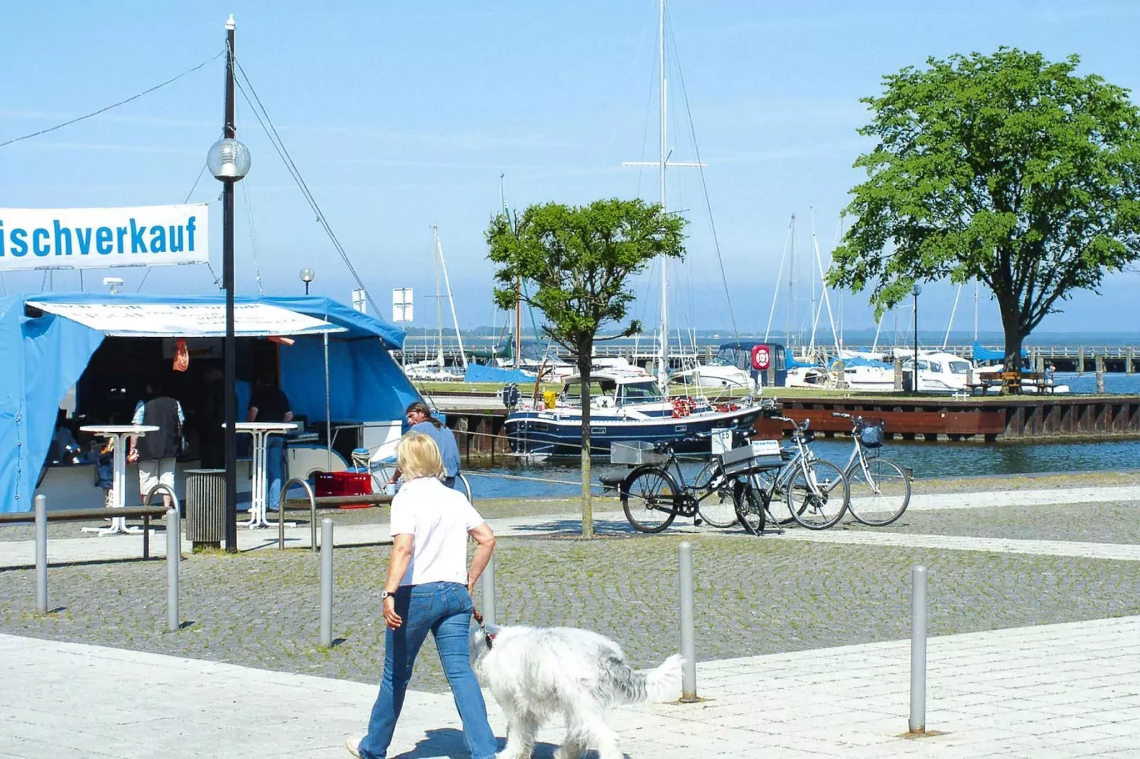 Ferienhaus Ribnitz-Damgarten-Ferienhaus Gerth-Zones d'été à 5 km