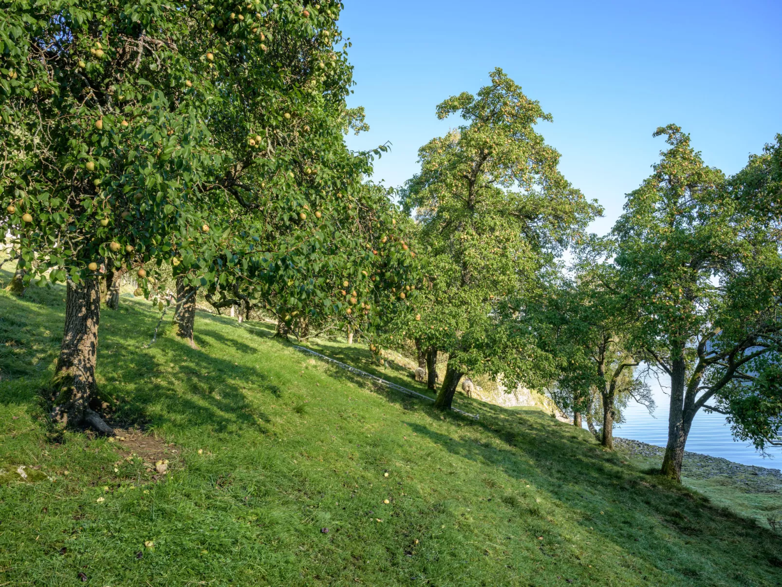 Tor-Outside