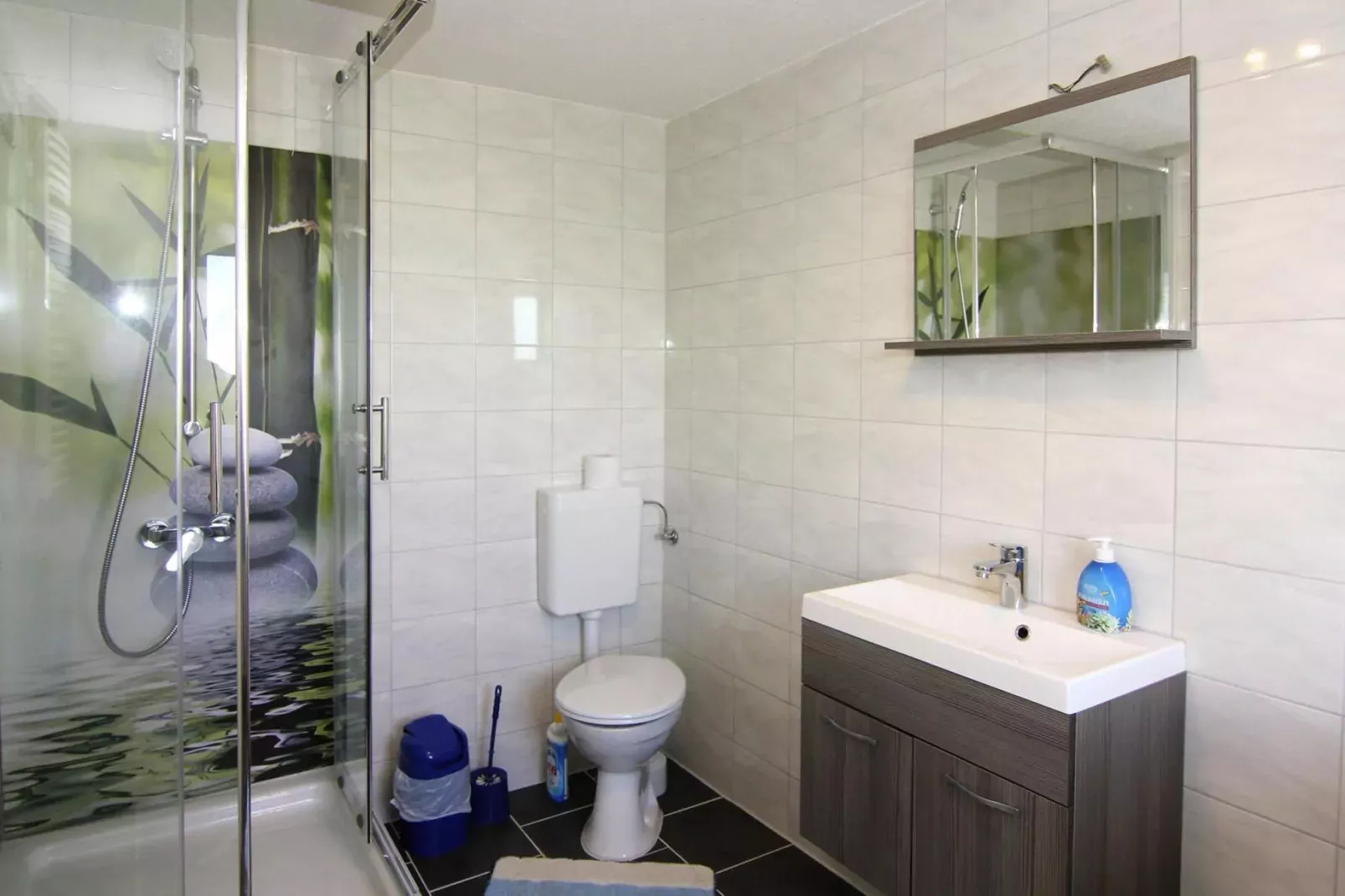 Ferienhaus Am Schilfufer-Bathroom