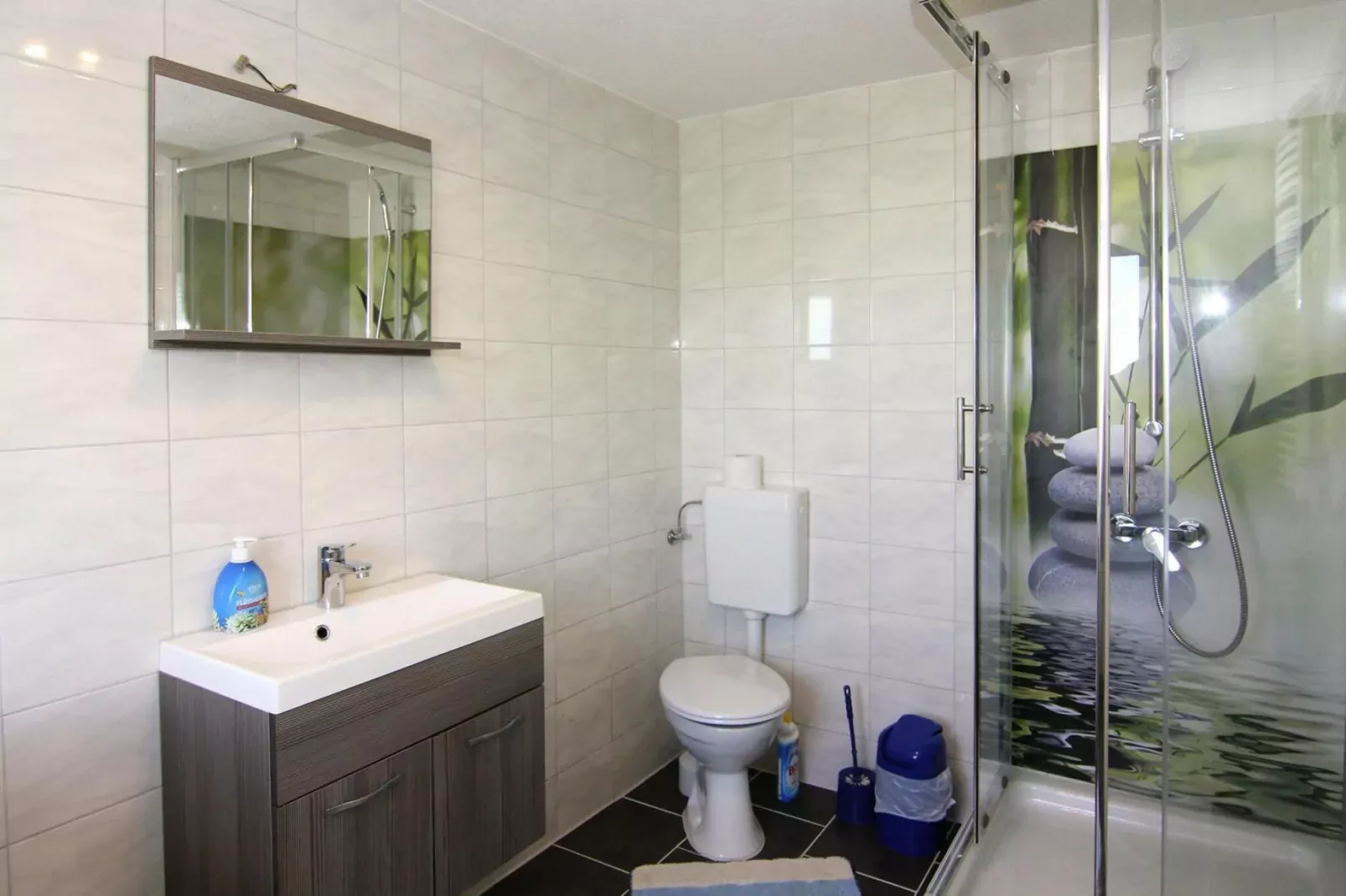 Ferienhaus Am Schilfufer-Bathroom