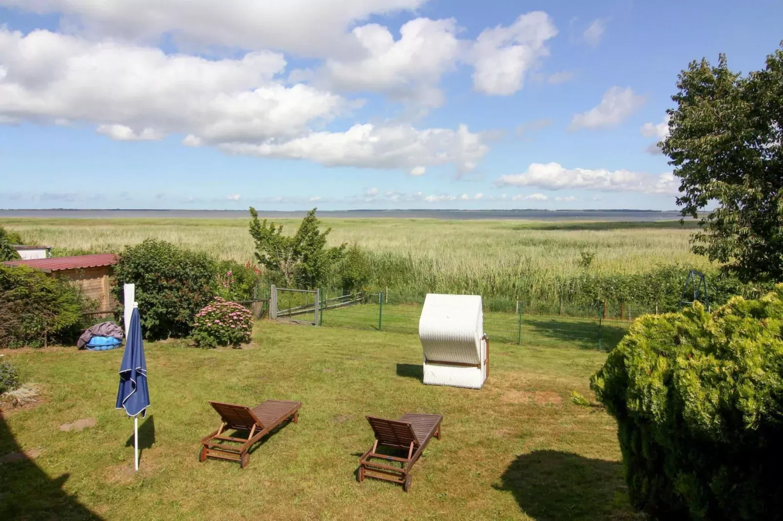 Ferienhaus Am Schilfufer-View summer