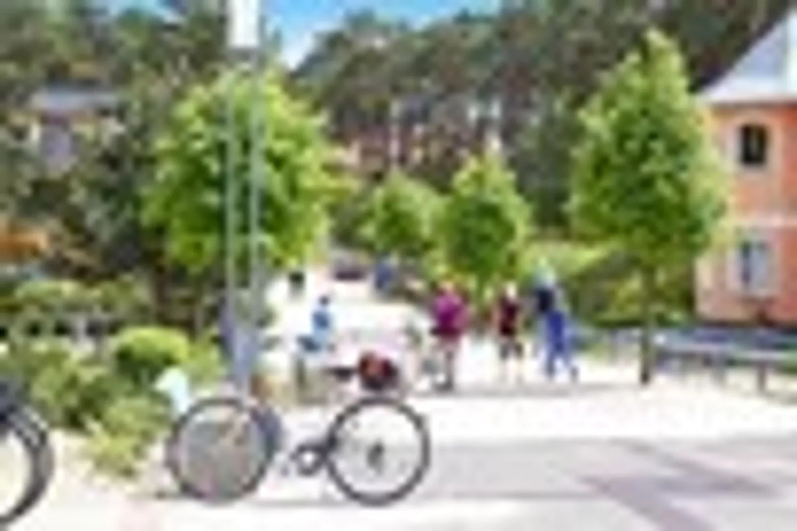 Ferienhaus in Trassenheide-Areas summer 1km