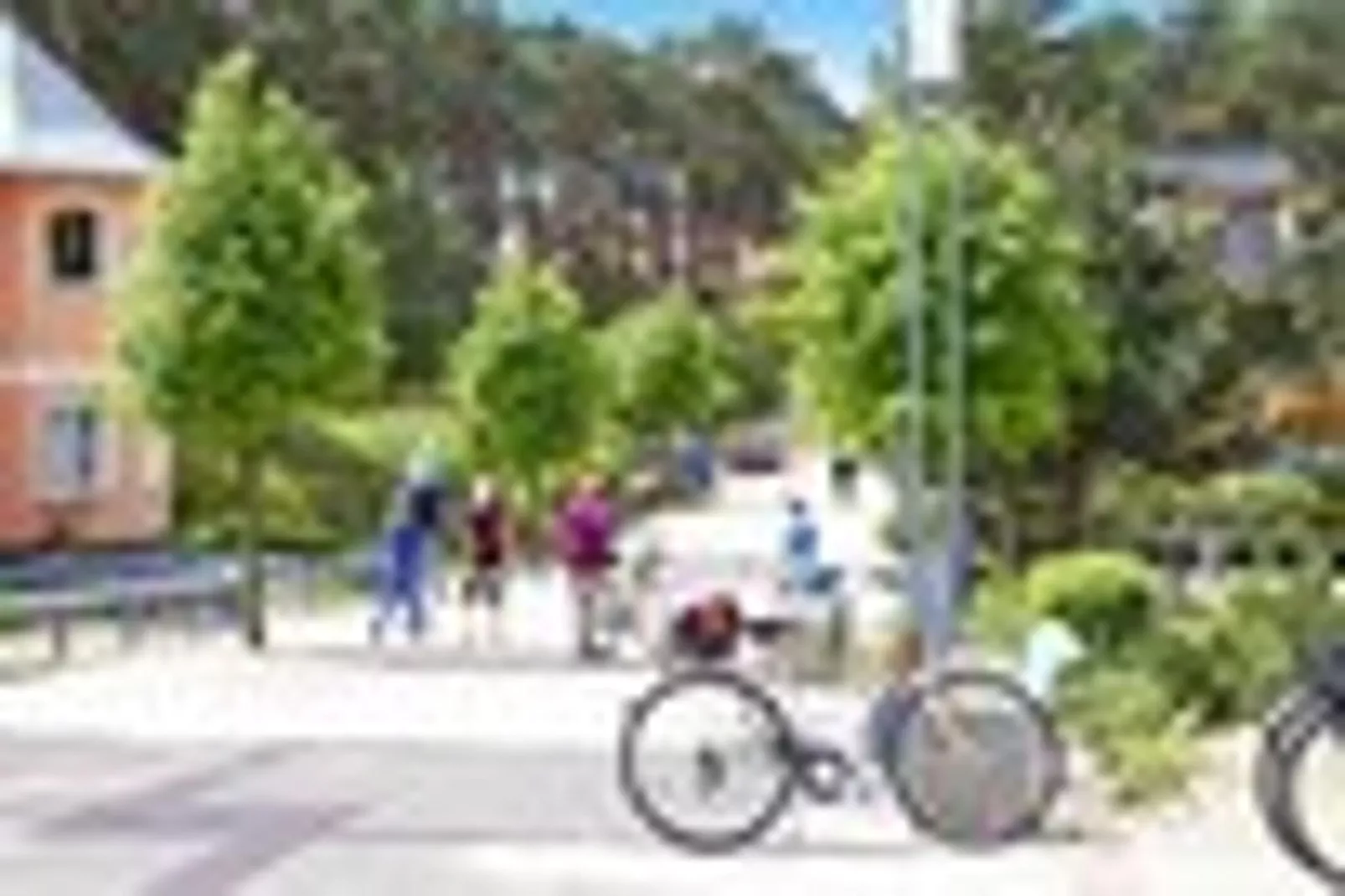 Ferienhaus in Trassenheide-Areas summer 1km