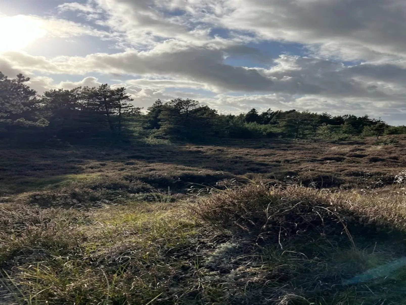 "Ibbe" - 3.5km from the sea-Outside