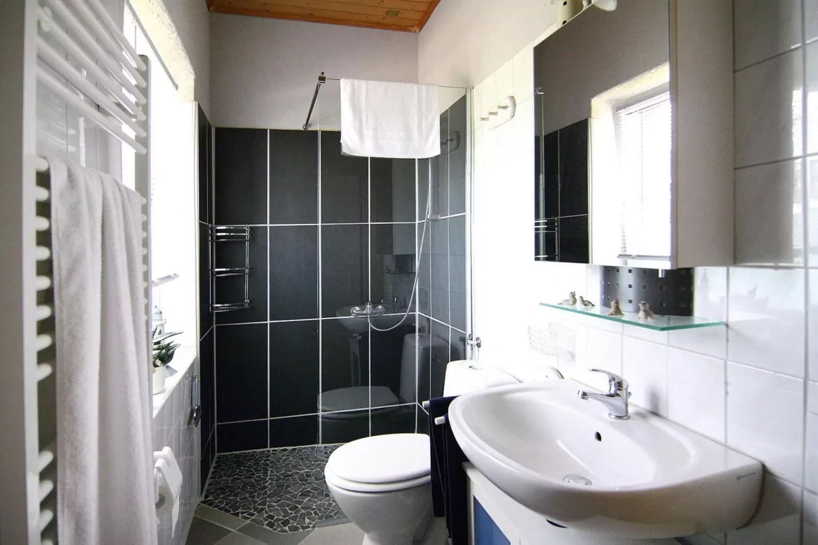 FW Zur alten Ziegelei-Bathroom