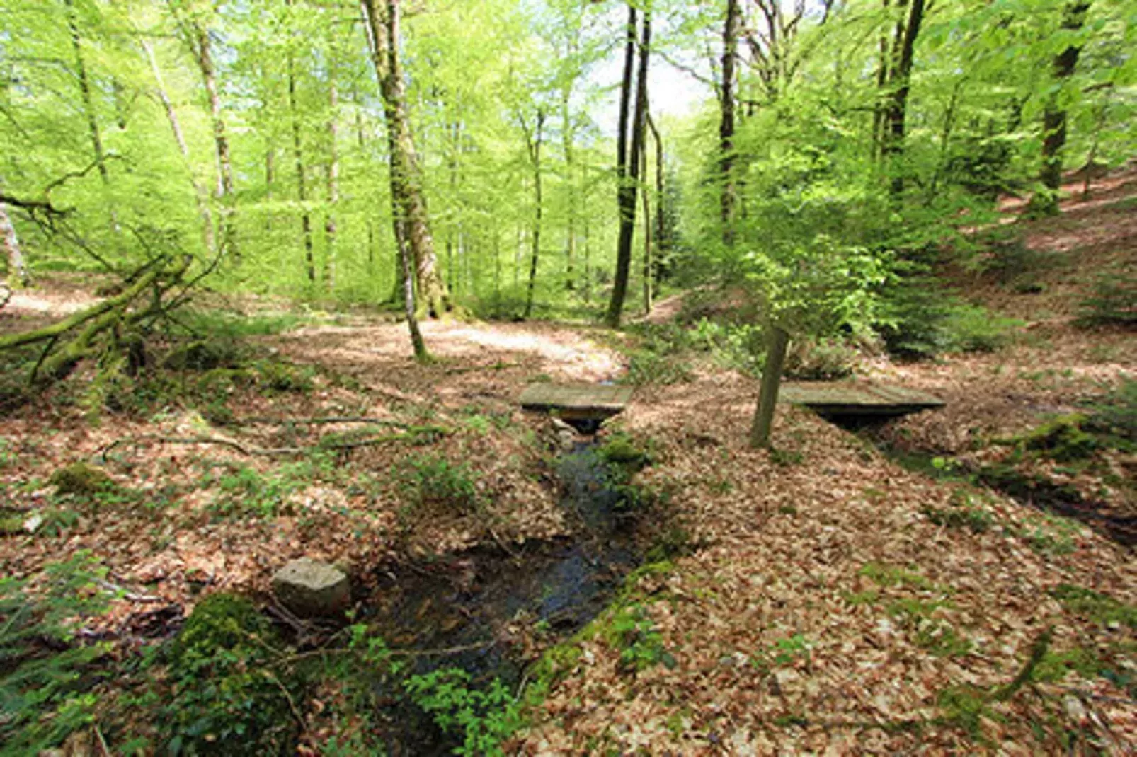 Holiday home Reipertswiller-Areas summer 5km